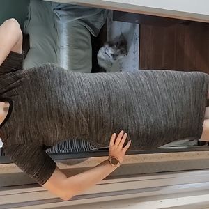 Zara midi cotton dress grey stripe body con sz L